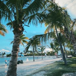 Meet your Posher, Briette